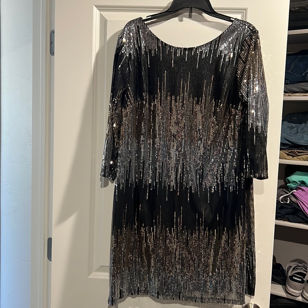 Sparkle dress with sleeves and scoop neck. Great for Vegas or the holidays!